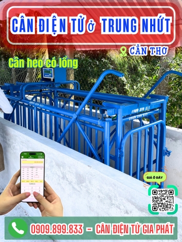 C&acirc;n điện tử ở Trung Nhứt Cần Thơ - C&acirc;n Gia Ph&aacute;t