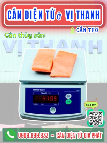 C&acirc;n điện tử ở Vị Thanh Cần Thơ - C&acirc;n Gia Ph&aacute;t