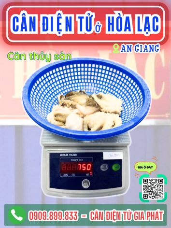 C&acirc;n điện tử ở H&ograve;a Lạc An Giang - C&acirc;n Gia Ph&aacute;t