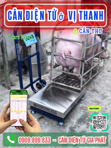 C&acirc;n điện tử ở Vị Thanh Cần Thơ - C&acirc;n Gia Ph&aacute;t