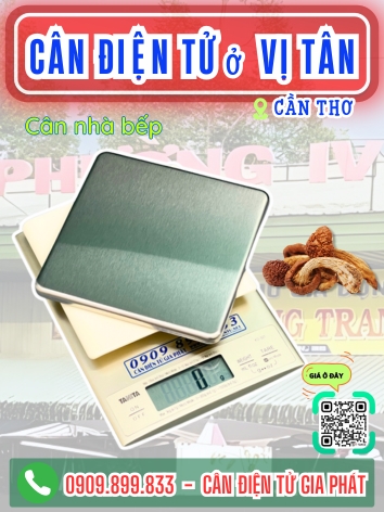 Cân điện tử ở Vị Tân Cần Thơ - Cân Gia Phát