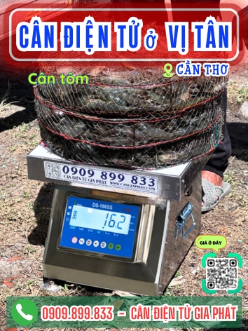 Cân điện tử ở Vị Tân Cần Thơ - Cân Gia Phát