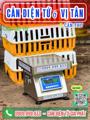 Cân điện tử ở Vị Tân Cần Thơ - Cân Gia Phát