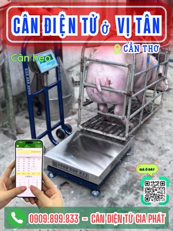 Cân điện tử ở Vị Tân Cần Thơ - Cân Gia Phát