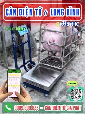 Cân điện tử ở Long Bình Cần Thơ - Cân Gia Phát
