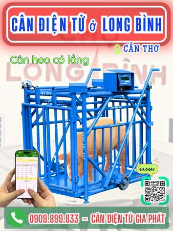 Cân điện tử ở phường Long Bình Cần Thơ