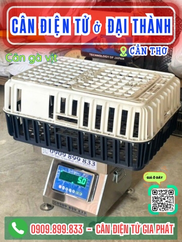 Cân điện tử ở Đại Thành Cần Thơ - Cân Gia Phát