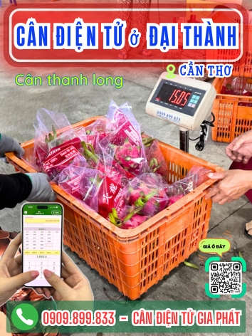 Cân điện tử ở Đại Thành Cần Thơ - Cân Gia Phát