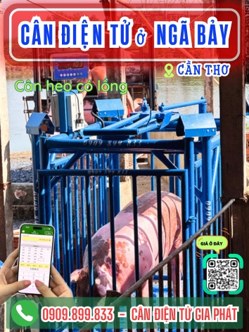 Cân điện tử ở Ngã Bảy Cần Thơ - Cân Gia Phát