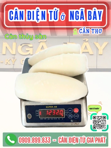 Cân điện tử ở Ngã Bảy Cần Thơ - Cân Gia Phát