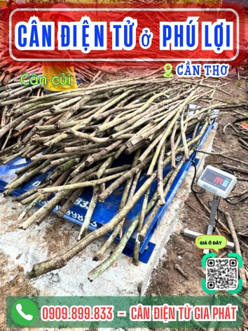 Cân điện tử ở Phú Lợi Cần Thơ - Cân Gia Phát