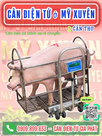 Cân điện tử ở phường Mỹ Xuyên Cần Thơ