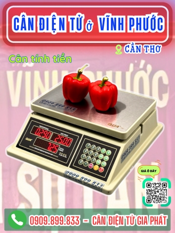 C&acirc;n điện tử ở Vĩnh Phước Cần Thơ - C&acirc;n Gia Ph&aacute;t