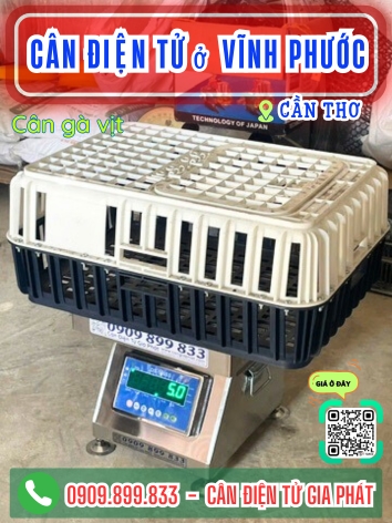 C&acirc;n điện tử ở Vĩnh Phước Cần Thơ - C&acirc;n Gia Ph&aacute;t