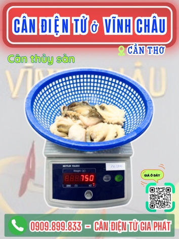 C&acirc;n điện tử ở Vĩnh Ch&acirc;u Cần Thơ - C&acirc;n Gia Ph&aacute;t