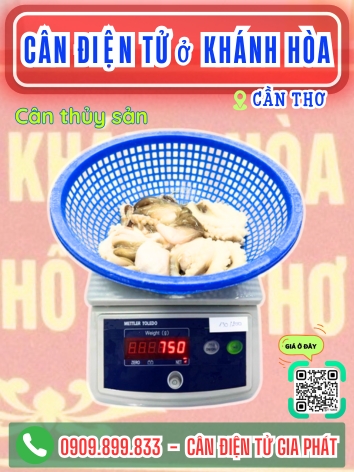 Cân điện tử ở phường Khánh Hòa Cần Thơ - Cân Gia Phát