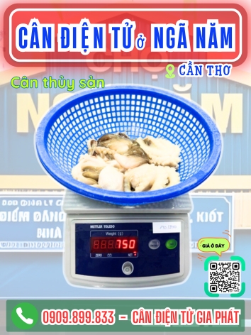 C&acirc;n điện tử ở Ng&atilde; Năm Cần Thơ - C&acirc;n Gia Ph&aacute;t