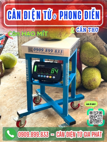Cân điện tử ở Phong Điền Cần Thơ - Cân Gia Phát