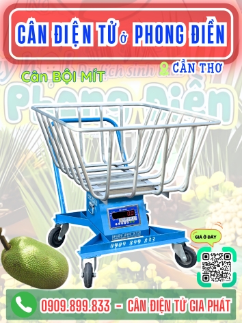 Cân điện tử ở Phong Điền Cần Thơ - Cân Gia Phát