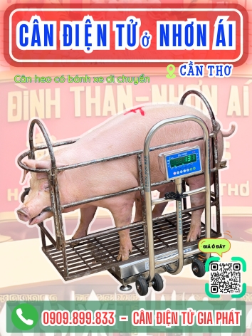 C&acirc;n điện tử ở Nhơn &Aacute;i Cần Thơ - C&acirc;n Gia Ph&aacute;t