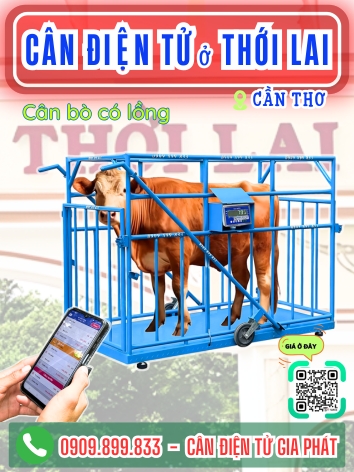 C&acirc;n điện tử ở Thới Lai Cần Thơ - C&acirc;n Gia Ph&aacute;t