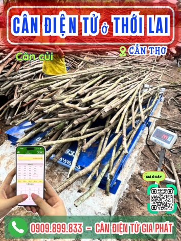 C&acirc;n điện tử ở Thới Lai Cần Thơ - C&acirc;n Gia Ph&aacute;t