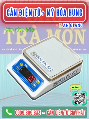 Cân điện tử ở Mỹ Hoà Hưng An Giang - Cân Gia Phát