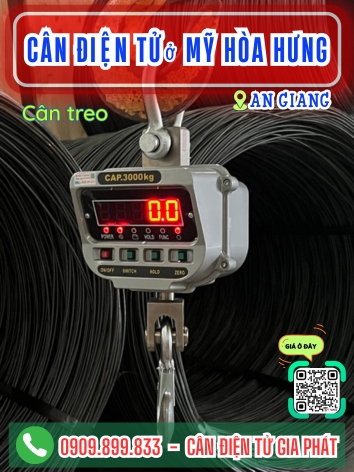 Cân điện tử ở Mỹ Hoà Hưng An Giang - Cân Gia Phát