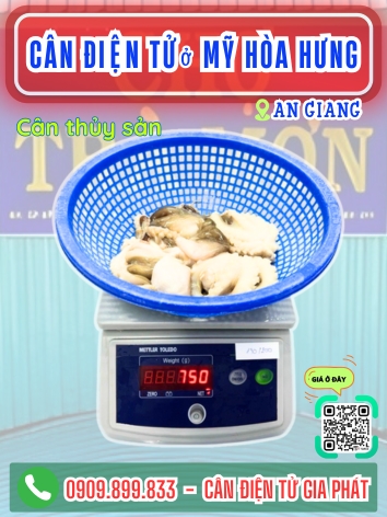 Cân điện tử ở Mỹ Hòa Hưng An Giang - Cân Gia Phát