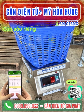 Cân điện tử ở Mỹ Hoà Hưng An Giang - Cân Gia Phát