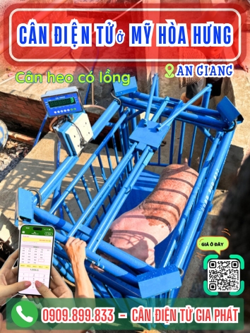 Cân điện tử ở Mỹ Hòa Hưng An Giang - Cân Gia Phát