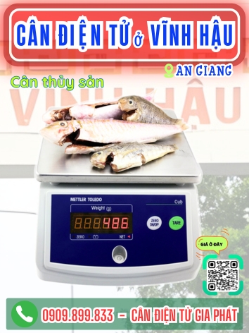 Cân điện tử ở Vĩnh Hậu An Giang - Cân Gia Phát