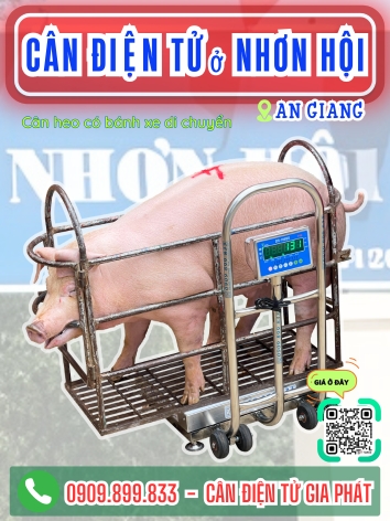 Cân điện tử ở Nhơn Hội An Giang - Cân Gia Phát