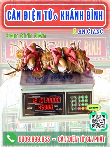 Cân điện tử ở Khánh Bình An Giang - Cân Gia Phát