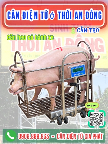 C&acirc;n điện tử ở Thới An Đ&ocirc;ng Cần Thơ - C&acirc;n Gia Ph&aacute;t