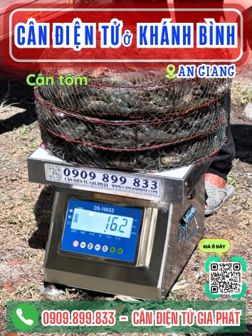 C&acirc;n điện tử ở Kh&aacute;nh B&igrave;nh An Giang - C&acirc;n Gia Ph&aacute;t