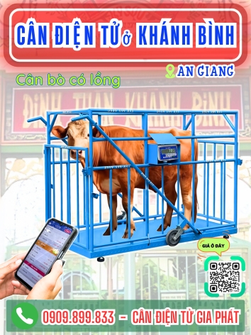 Cân điện tử ở Khánh Bình An Giang - Cân Gia Phát