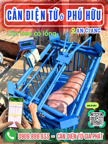 C&acirc;n điện tử ở Ph&uacute; Hữu An Giang - C&acirc;n Gia Ph&aacute;t