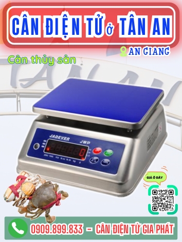 Cân điện tử ở Tân An An Giang - Cân Gia Phát