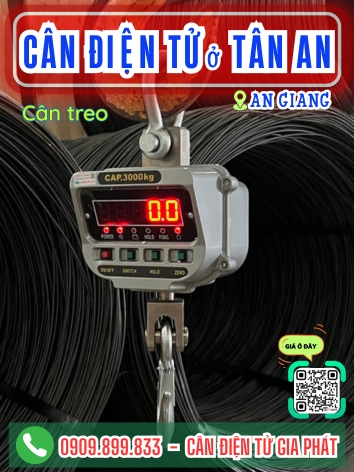 Cân điện tử ở Tân An An Giang - Cân Gia Phát