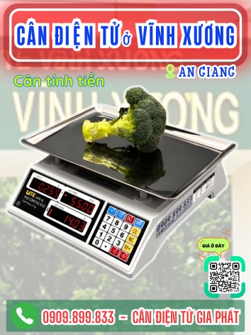 C&acirc;n điện tử ở x&atilde; Vĩnh Xương An Giang - C&acirc;n Gia Ph&aacute;t