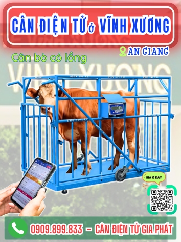 C&acirc;n điện tử ở x&atilde; Vĩnh Xương An Giang - C&acirc;n Gia Ph&aacute;t