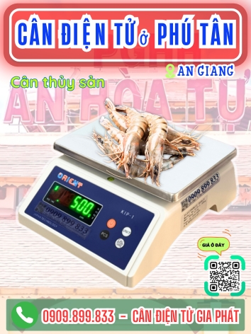 C&acirc;n điện tử ở Ph&uacute; T&acirc;n An Giang - C&acirc;n Gia Ph&aacute;t
