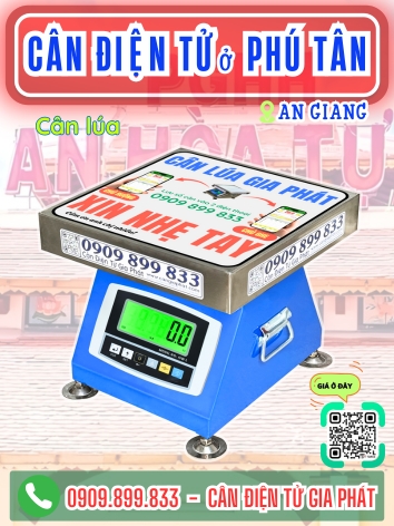 C&acirc;n điện tử ở Ph&uacute; T&acirc;n An Giang - C&acirc;n Gia Ph&aacute;t