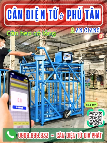 C&acirc;n điện tử ở Ph&uacute; T&acirc;n An Giang - C&acirc;n Gia Ph&aacute;t