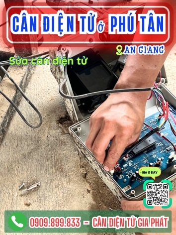 C&acirc;n điện tử ở Ph&uacute; T&acirc;n An Giang - C&acirc;n Gia Ph&aacute;t