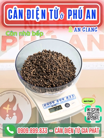 Cân điện tử ở Phú An An Giang - Cân Gia Phát