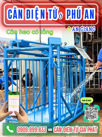 Cân điện tử ở Phú An An Giang - Cân Gia Phát