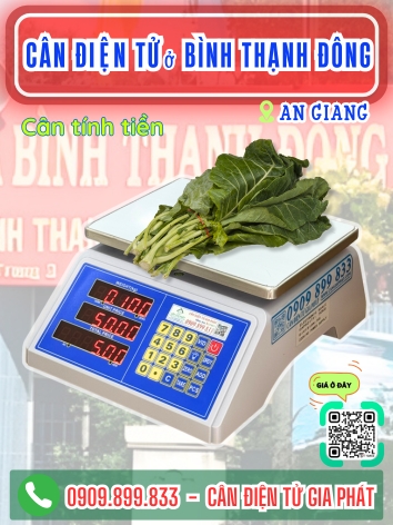 C&acirc;n điện tử ở B&igrave;nh Thạnh Đ&ocirc;ng An Giang - C&acirc;n Gia Ph&aacute;t