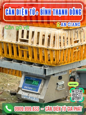 C&acirc;n điện tử ở B&igrave;nh Thạnh Đ&ocirc;ng An Giang - C&acirc;n Gia Ph&aacute;t